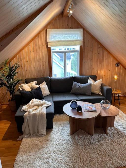 Apartment Cozy Loft With Amazing View *